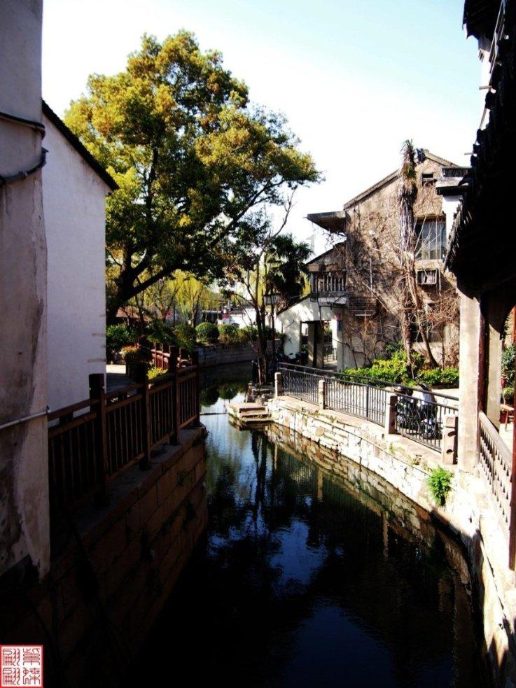 公主的阅读区