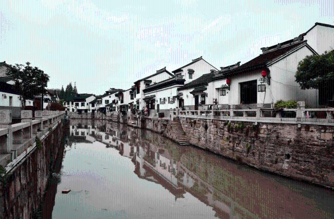 亳州高新区教师冰河救人彰显师者大爱